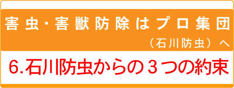 ６．石川防虫からの３つの約束：タイトル