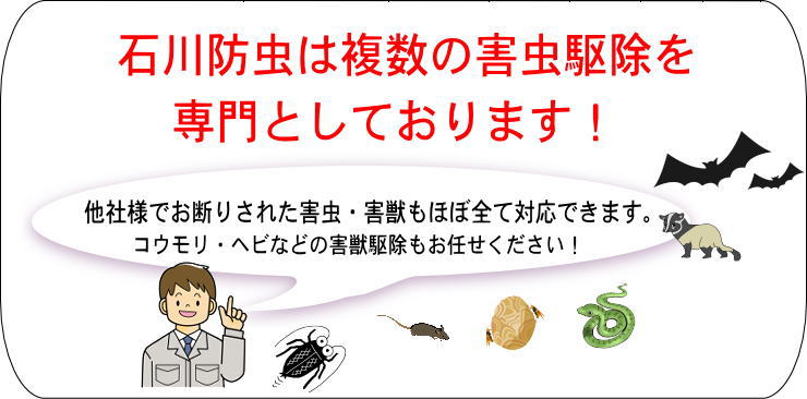 ４．多種の害虫駆除を専門：プロ集団